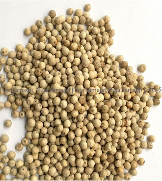 kr-White Pepper/Seto Marich (सेतो मरिच) 1kg