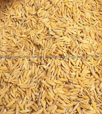 ps-Paddy Seeds/Dhan (धान) 200g