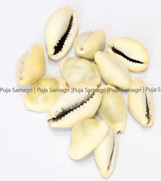 ps-Kauda (कौडा) 10pc