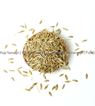 [ps-jau-0-500g] ps-Barely Seeds /Jau (जौ) 500g