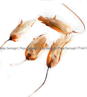[ps-phu-kam-1pc] ps-Kamal Phul (कमल फुल) 1pc