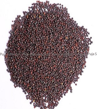 [kr-ray-0-1kg] kr-Black Mustard Seed/Rayo (रायो) 1kg