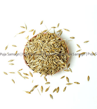 [ps-jau-0-1kg] ps-Barely Seeds /Jau (जौ) 1kg