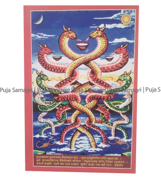 ps-Naag Photo (नाग फोटो) | Puja Samagri