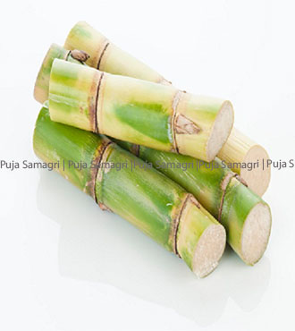 [ps-ukh-0-5pcs] ps-Sugarcane/Ukhu (उखु) 5pcs 2feet