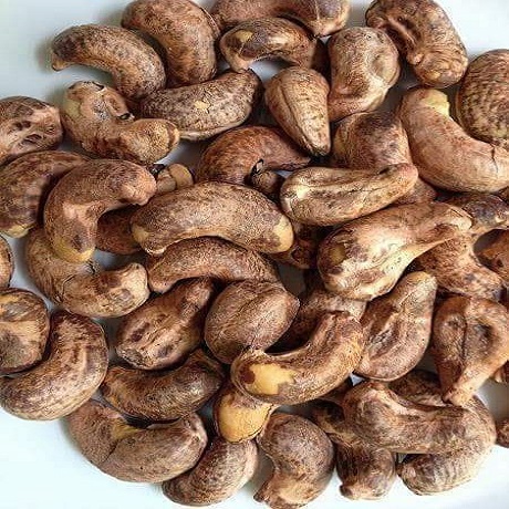 Dried raw cashew shop nuts in shell